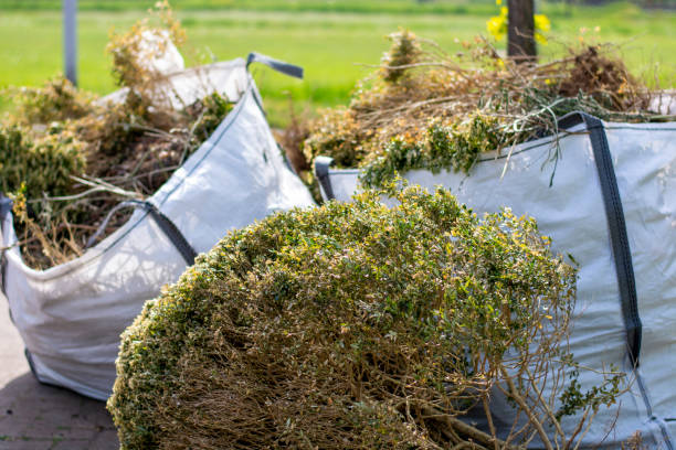 Demolition Debris Removal in Lacoochee, FL